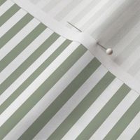 sage green stripes .25"