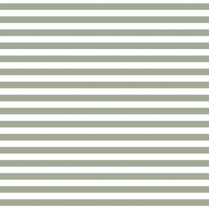 sage green stripes .25"