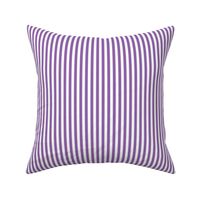 amethyst purple vertical stripes .25"