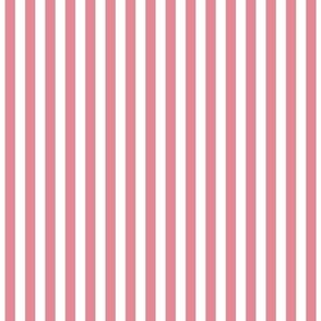 berry cream vertical stripes .25"