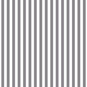 granite grey vertical stripes .25"