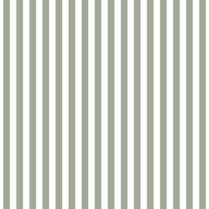 sage green vertical stripes .25"