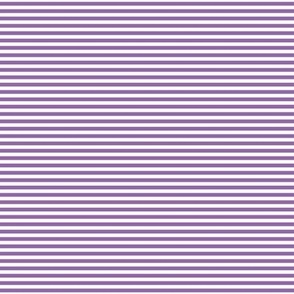 amethyst purple pinstripes