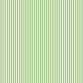 apple green vertical pinstripes