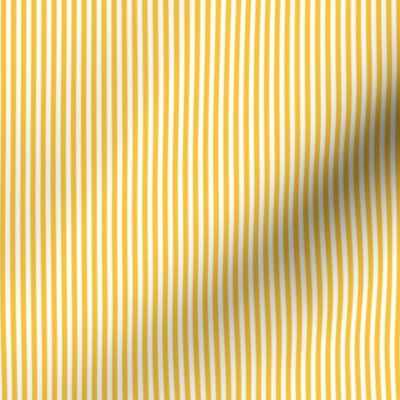golden yellow vertical pinstripes