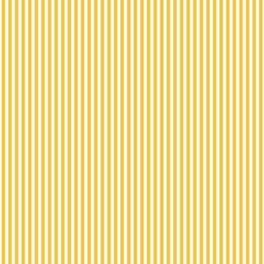 golden yellow vertical pinstripes