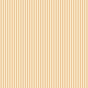 mango orange vertical pinstripes