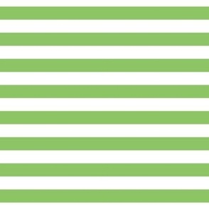 apple green stripes 1/2"
