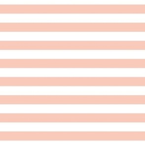 blush stripes 1/2"
