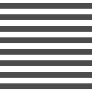dark grey stripes 1/2"