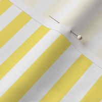 lemon yellow stripes 1/2"
