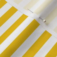 mustard yellow stripes 1/2"