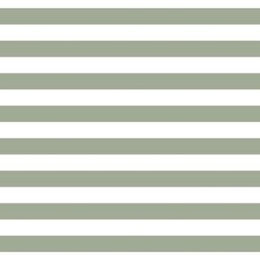 sage green stripes 1/2"