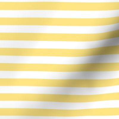 sunshine yellow stripes 1/2"