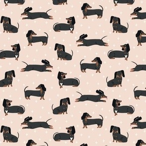 sweet dachshunds pink // small scale