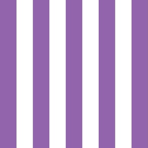 amethyst purple vertical 2" stripes LG