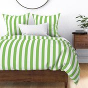 apple green vertical 2" stripes LG