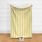 butter yellow vertical 2" stripes LG