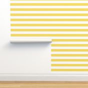 butter yellow 2" stripes LG