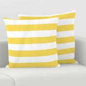 butter yellow 2" stripes LG