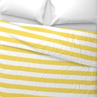 butter yellow 2" stripes LG