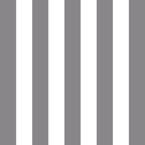 granite grey vertical 2" stripes LG