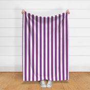 grape purple vertical 2" stripes LG