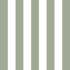 sage green vertical 2" stripes LG