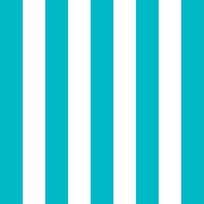 surfer blue vertical 2" stripes LG