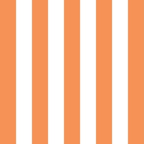 tangerine orange vertical 2" stripes LG