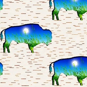 buffalo prairie one direction for wallpaper