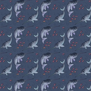 Nifty Narwhals