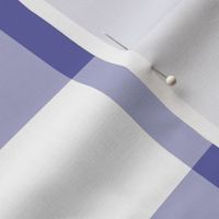 Periwinkle Gingham