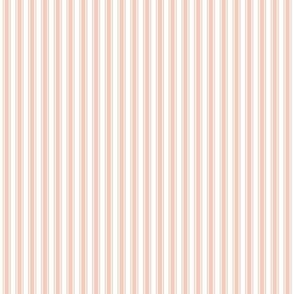 blush ticking stripes