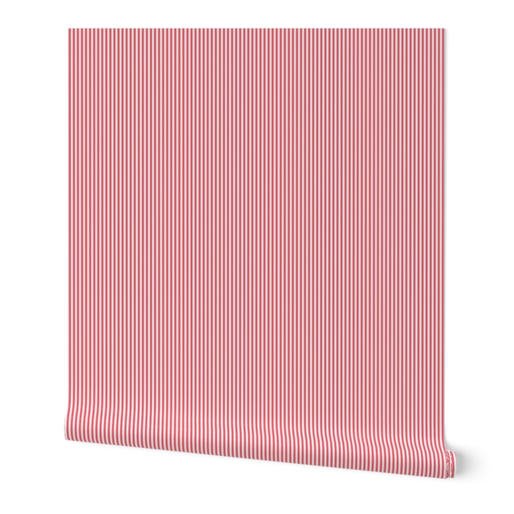 bold coral ticking stripes