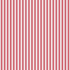 bold coral ticking stripes