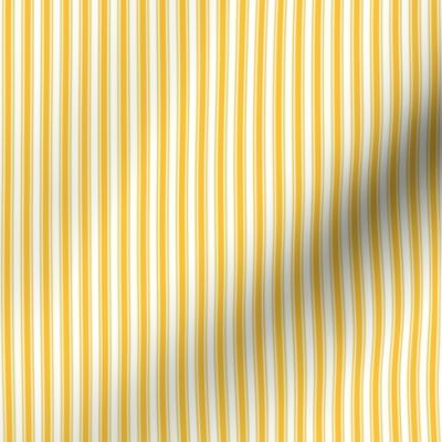golden yellow ticking stripes