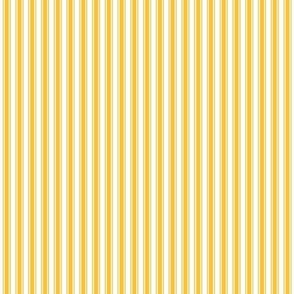 golden yellow ticking stripes