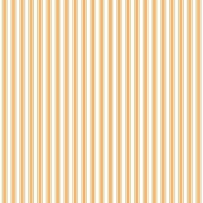 mango orange ticking stripes