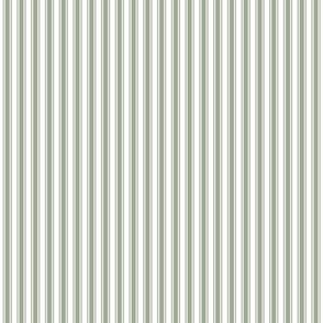 sage green ticking stripes