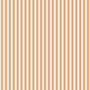 tangerine orange ticking stripes