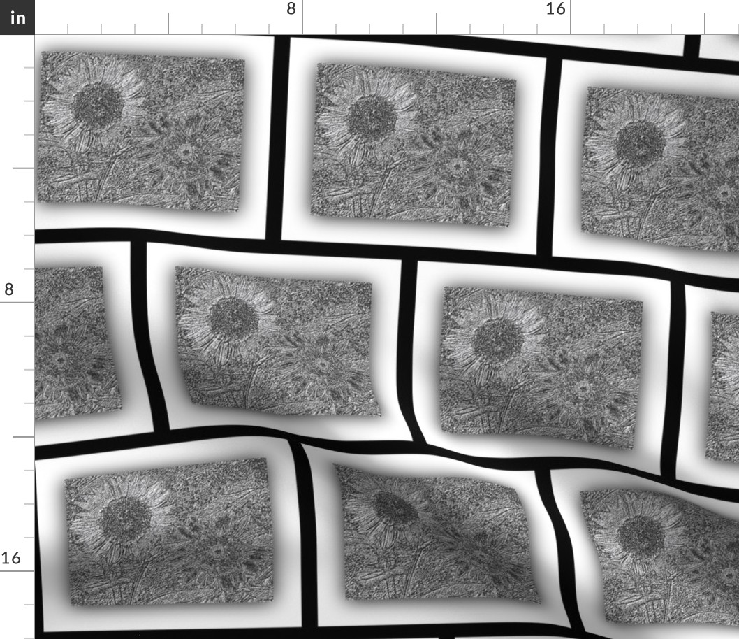 Sunflowers in Black and White