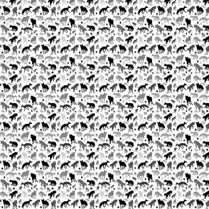 fox_pattern 2