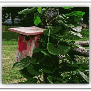 Birdhouse in the Morning Glories in Basic Repeat