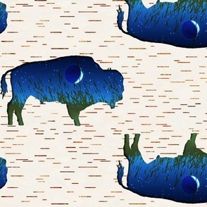 buffalo prairie nighttime