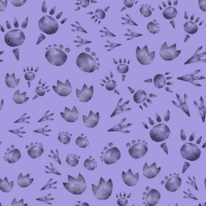 dino foot print purple