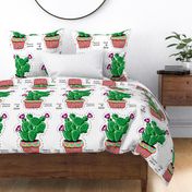 Cactus Pillow Free Hugs 