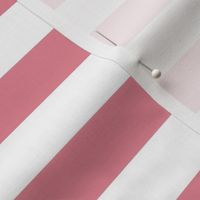 berry cream stripes 1"