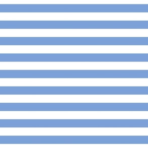 cornflower blue stripes 1"