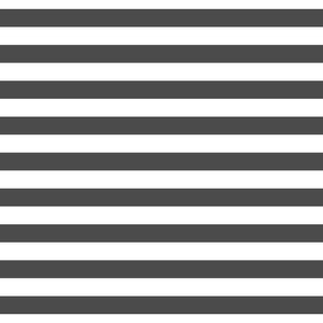 dark grey stripes 1"